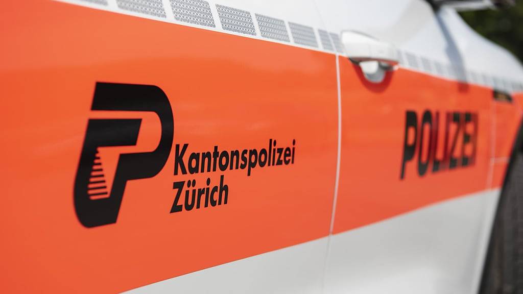 Die Kantonspolizei Zürich muss auf eine automatisierte Fahrzeugfahndung verzichten. Der Regierungsrat reagiert auf ein Urteil des Bundesgerichts. (Symbolbild).
