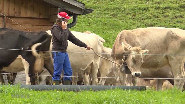 Bär im Gental sorgt für mulmiges Gefühl