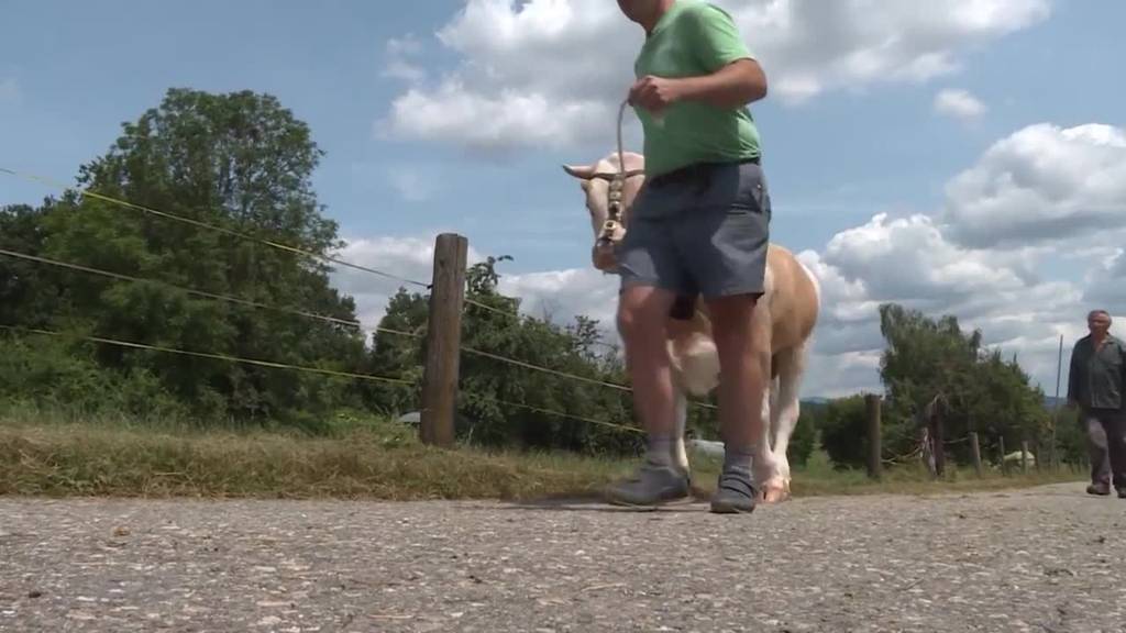 TeleBärn besucht den zukünftigen Sieger-Muni