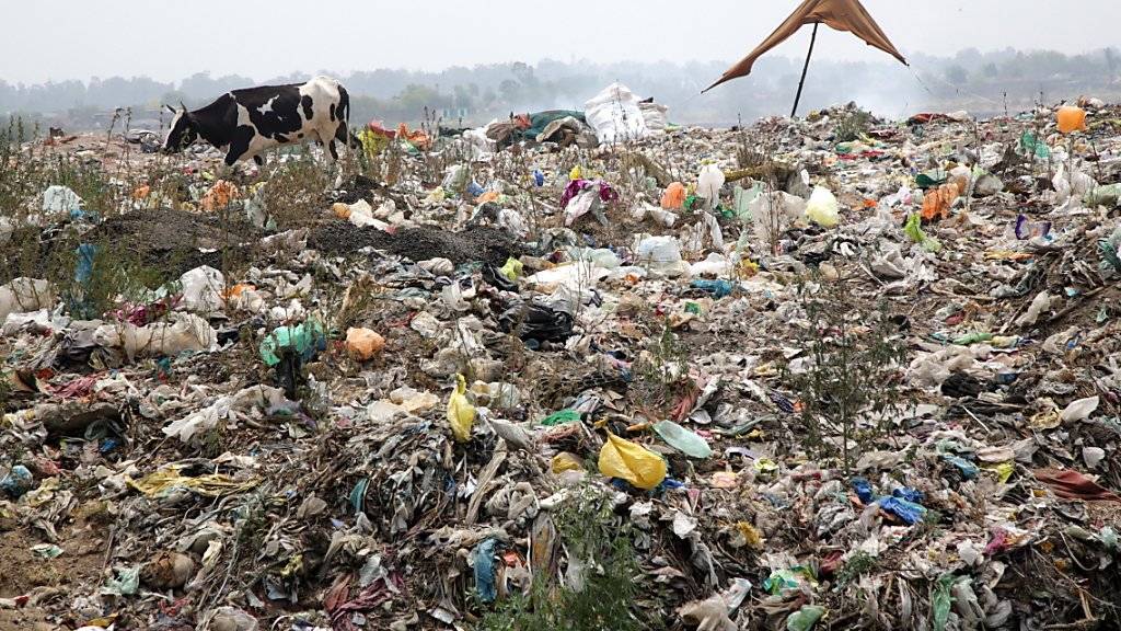 Müllkippe in Indien. (Archivbild)