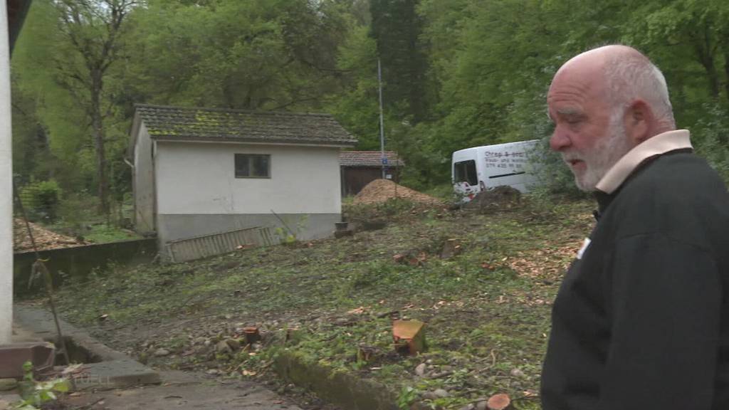 Unverständnis in Kölliken: Alle Bäume beim Haus des verstorbenen Tierschützers Peter Suter gefällt
