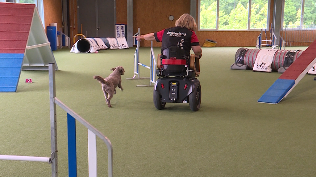 Para Agility 