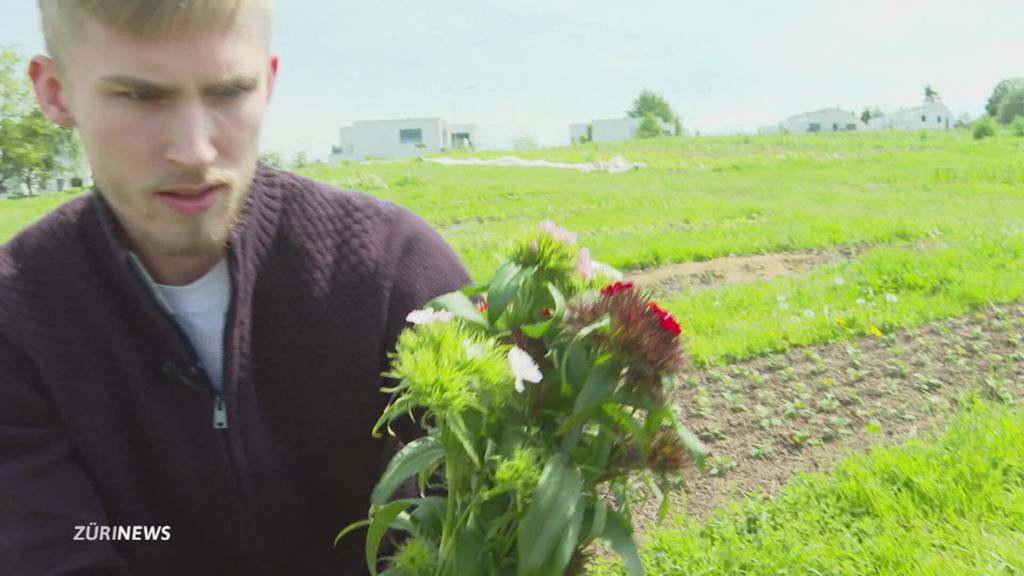 Blumenschneiden am Muttertag