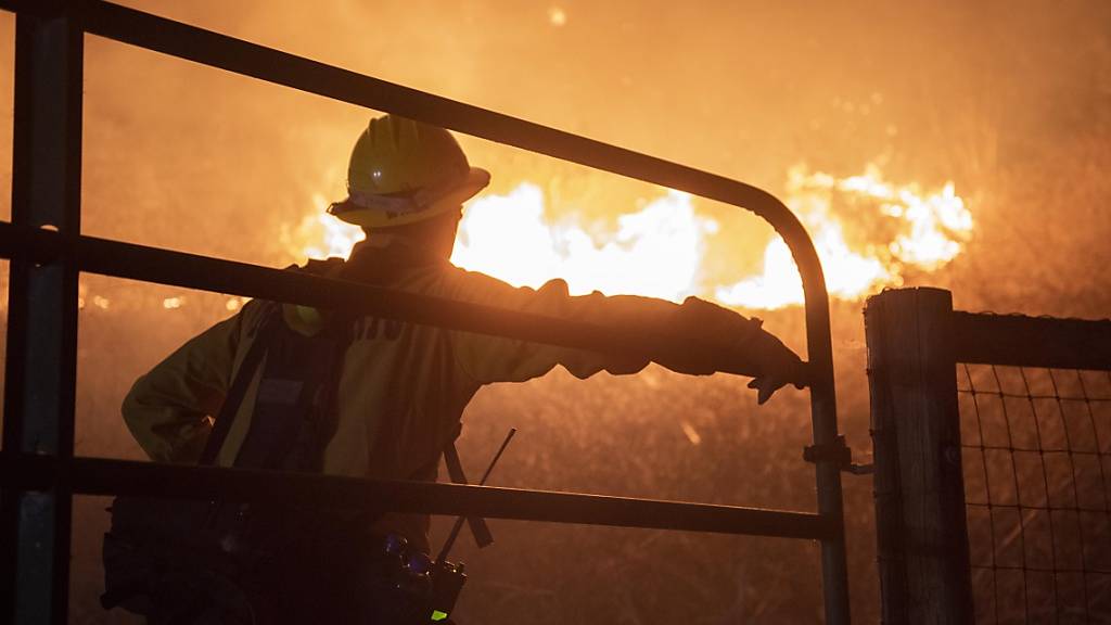 Mehr als 1000 Einsatzkräfte befinden sich derzeit im Einsatz gegen einen Flächenbrand im US-Bundesstaat Kalifornien. Foto: Erick Madrid/ZUMA Press Wire/dpa