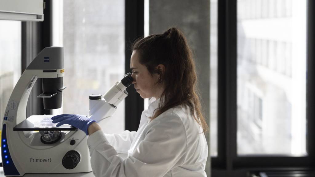 Im ersten Halbjahr 2026 ist schweizweit weniger Geld an Start-up-Firmen geflossen. Besonders deutlich war der Rückgang in der Biotech-Branche.(Symbolbild.