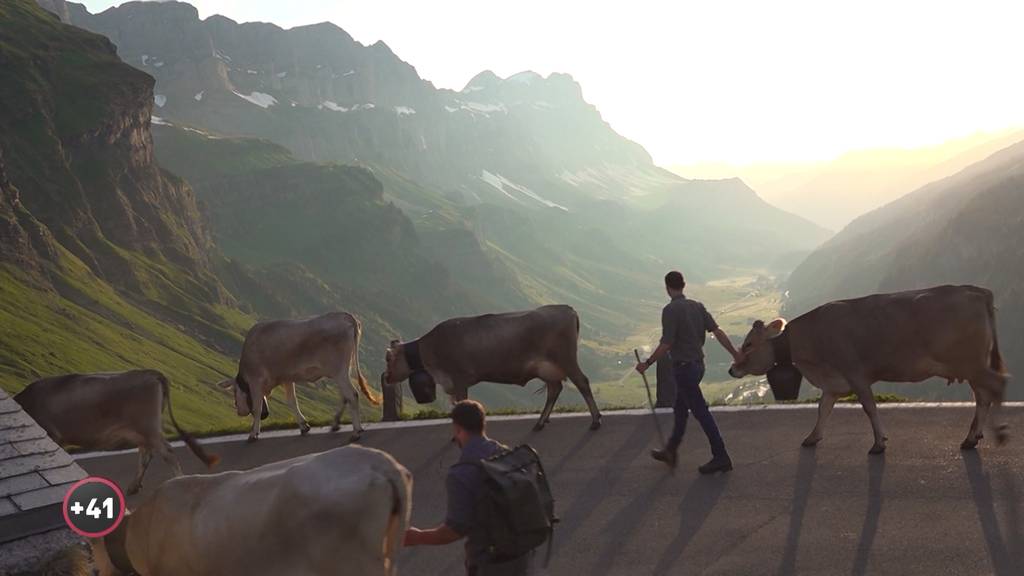 Alpsommer – Auffahren mit Familie Kempf (WHD)