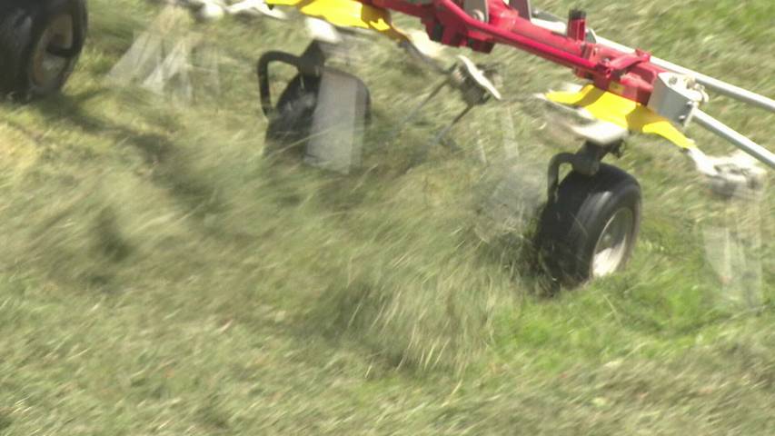 Nach Nass-Sommer: Bauern freuen sich über prächtige Heu-Ernte