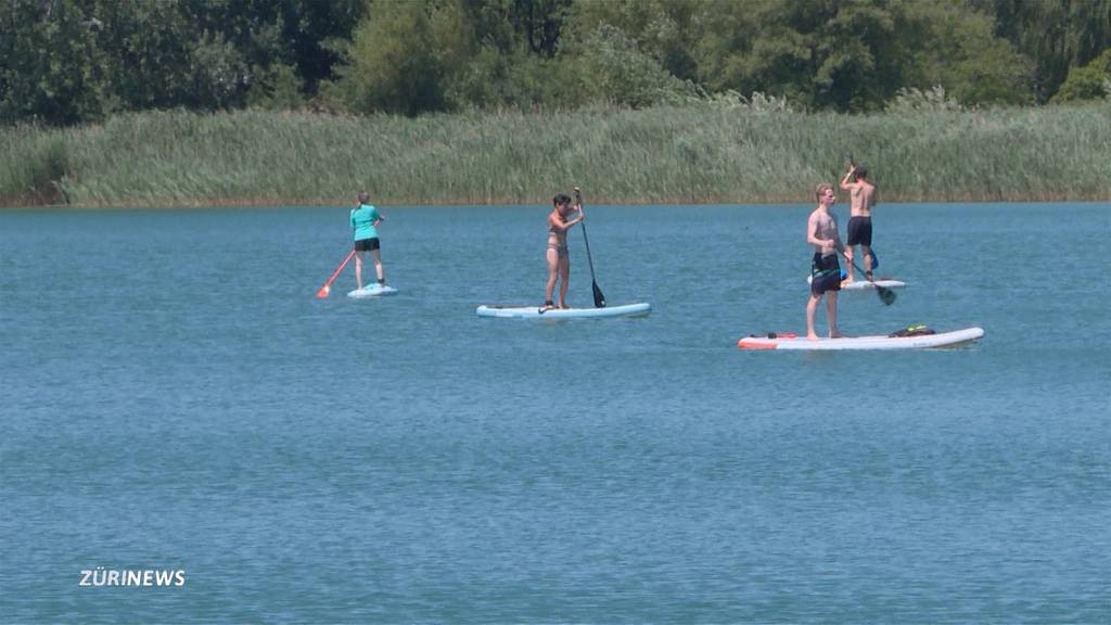 Stand Up Paddling birgt Gefahrenpotential für Tiere