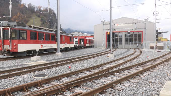 Neues Nest für Fink, Spatz und Adler