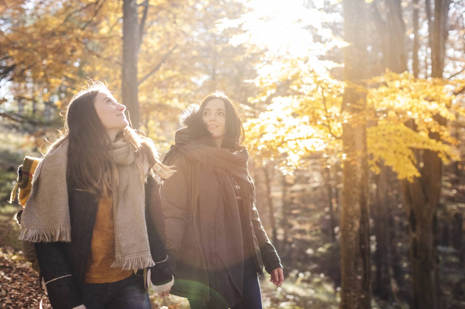 Spaziergang im Herbst