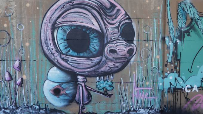 Mehr Farbe in Grenchen: So sieht die Graffiti-Wand an der Brühlstrasse aus