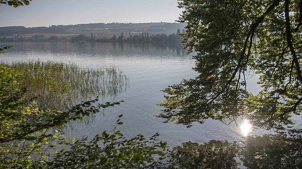 Das Ufergebiet des Hallwilersees zwischen zwischen Beinwil am See AG und Mosen LU.. (Archivaufnahme)