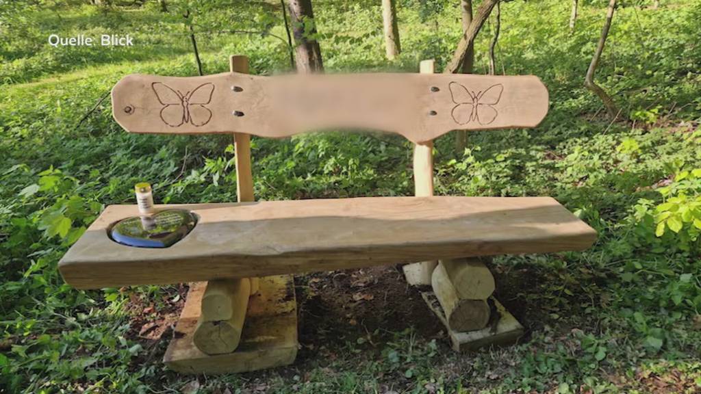 Innere Stimmen sollen 14-Jährige zur Tötung von Schulkollegin in Berikon bewogen haben