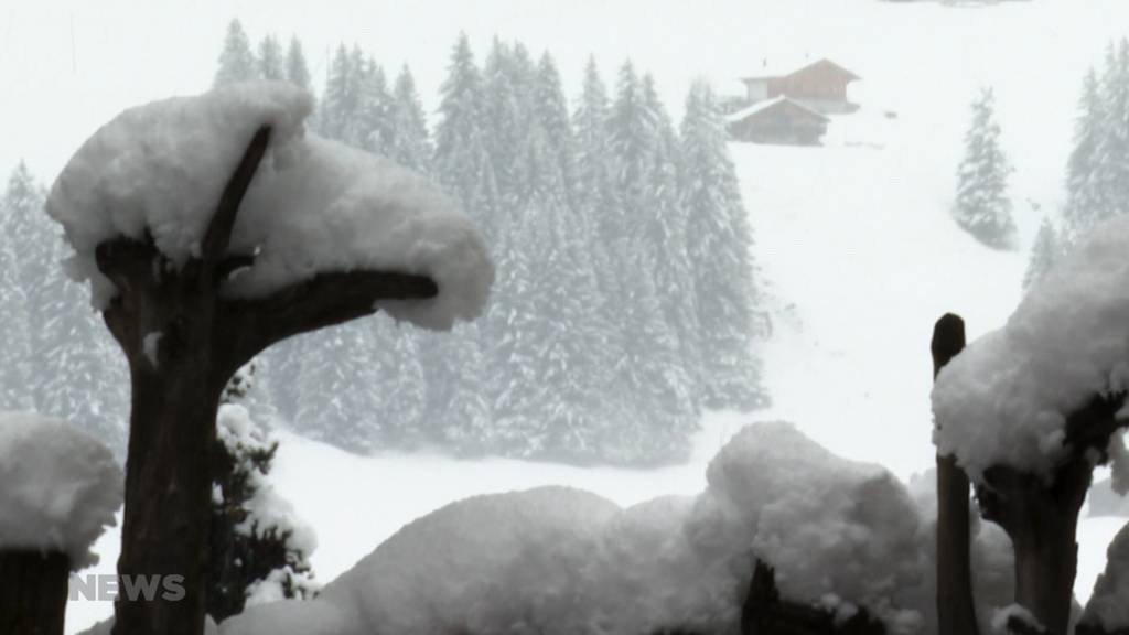  Winterlandschaft: Schnee im Berner Oberland