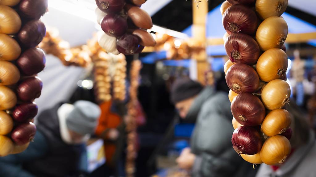 Zwiebeln so weit das Auge reicht: Fast 34 Tonnen wurden am Montag in Bern feilgeboten.