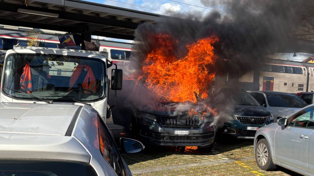 Ein Fahrzeugbrand in Frauenfeld TG hat am Freitag grossen Sachschaden verursacht.