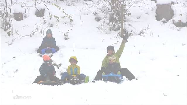 Schneespass nun auch im Zürcher Oberland