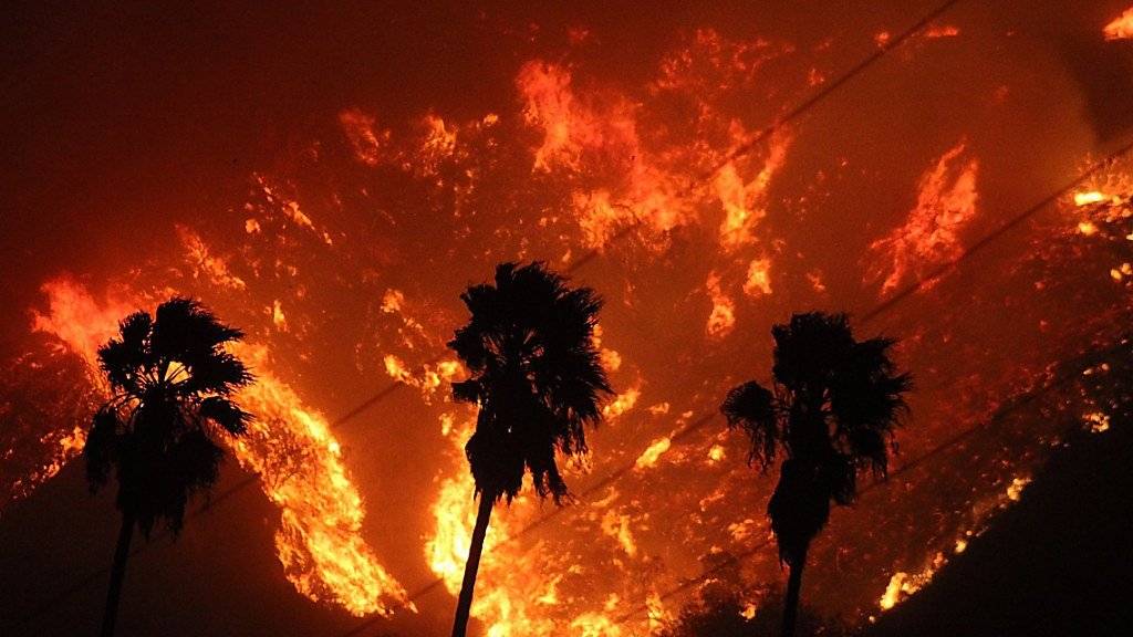 Feuerwand im kalifornischen Ventura