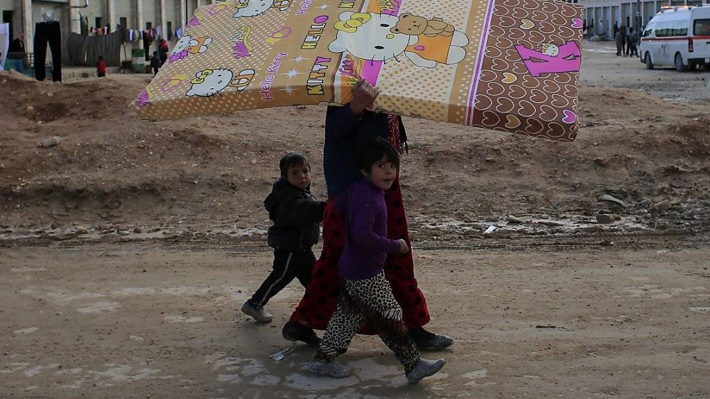 Von Kämpfen in Aleppo vertriebene Kinder mit ihrer Mutter (Archiv)