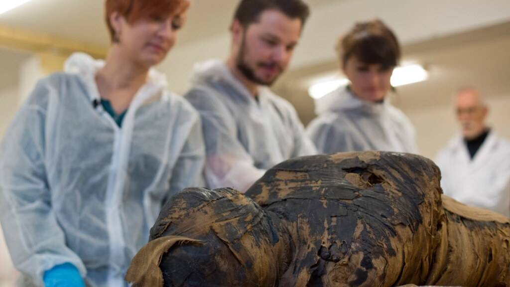 Warschauer Forscher haben beim Röntgen einer 2000 Jahre alten Mumie einen Foetus im Körper der einbalsamierten Ägypterin gefunden. Das ist bisher weltweit noch nie vorgekommen (Bild: Warsawmummyproject)