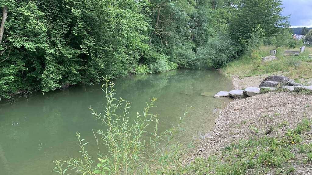 Die Surenrevitalisierung in Oberkirch wird vorläufig ausgesetzt.