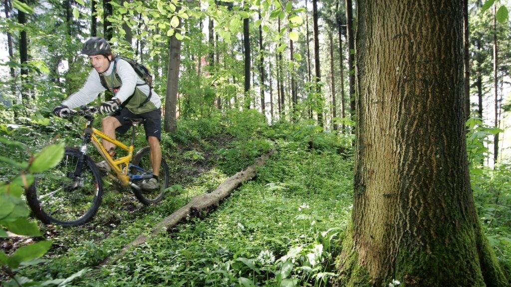 Neue Mountainbike-Trails im Luzerner Bireggwald
