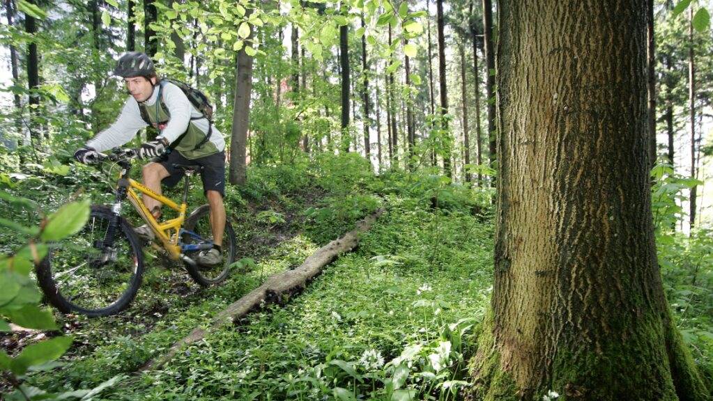 Um das Mountainbiken im Luzerner Wald besser zu lenken, ist beim Kanton eine Fachstelle geplant. (Symbolbild)
