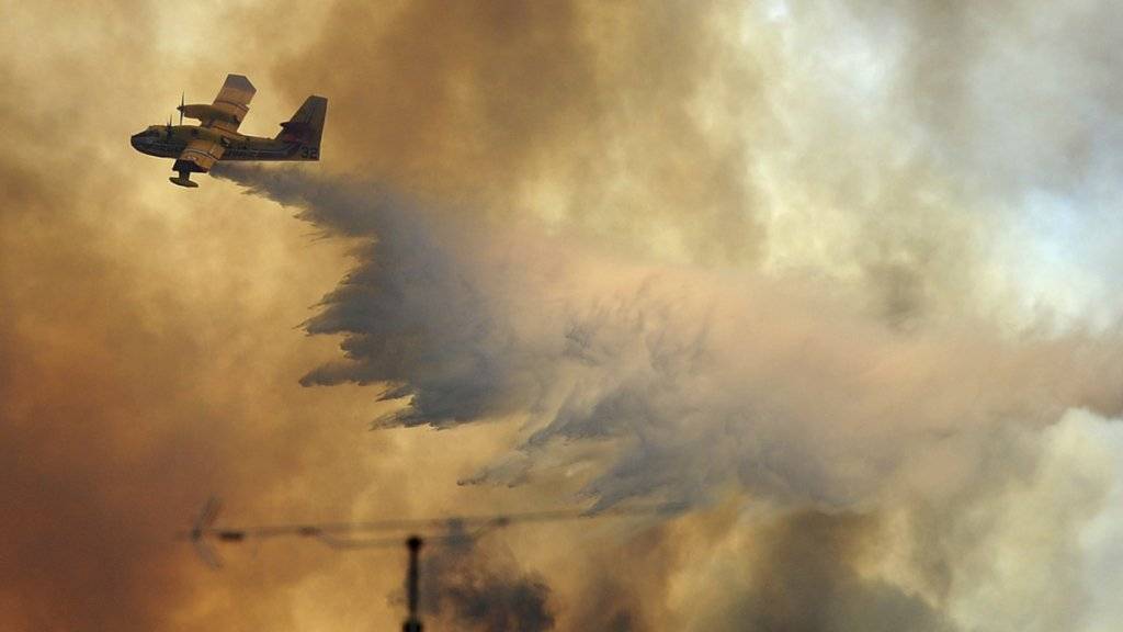 In Portugal sind am Montag neue Waldbrände aufgeflammt. Vor zwei Wochen starben bei der Ortschaft Pedrógão Grande wegen einer Feuersbrunst 64 Menschen. (Archivbild)