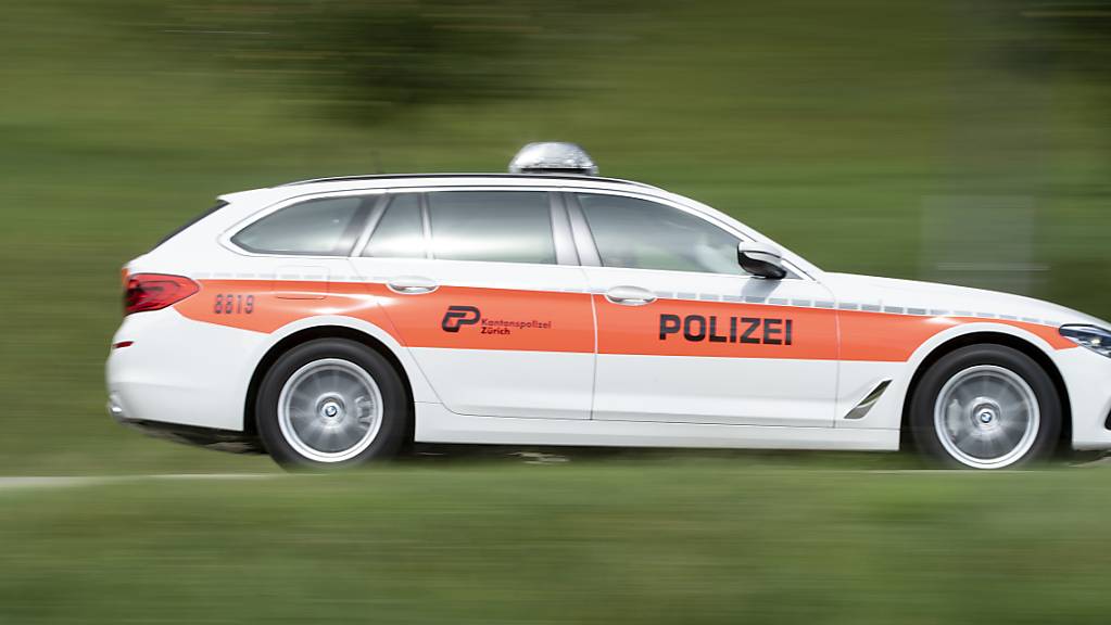 Die Kantonspolizei Zürich stoppte am Freitagmorgen einen Falschfahrer auf der A52 bei Hinwil. (Symbolbild)