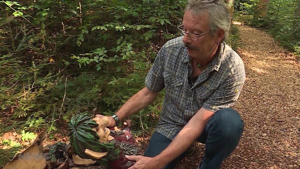 Schon wieder: Vandalen in Märliwald Roggwil