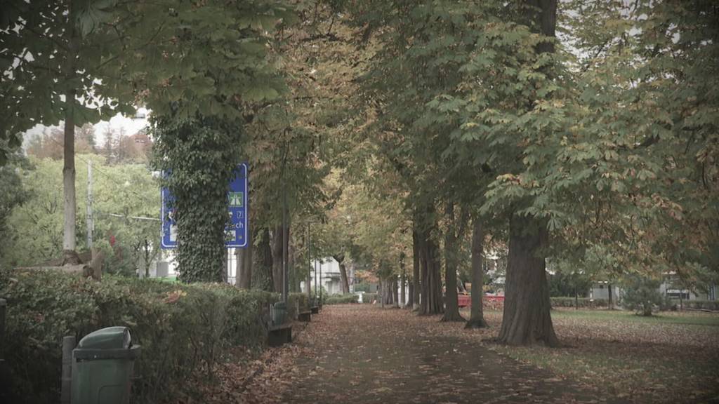 Viele Polizeieinsätze in der Stadt St.Gallen