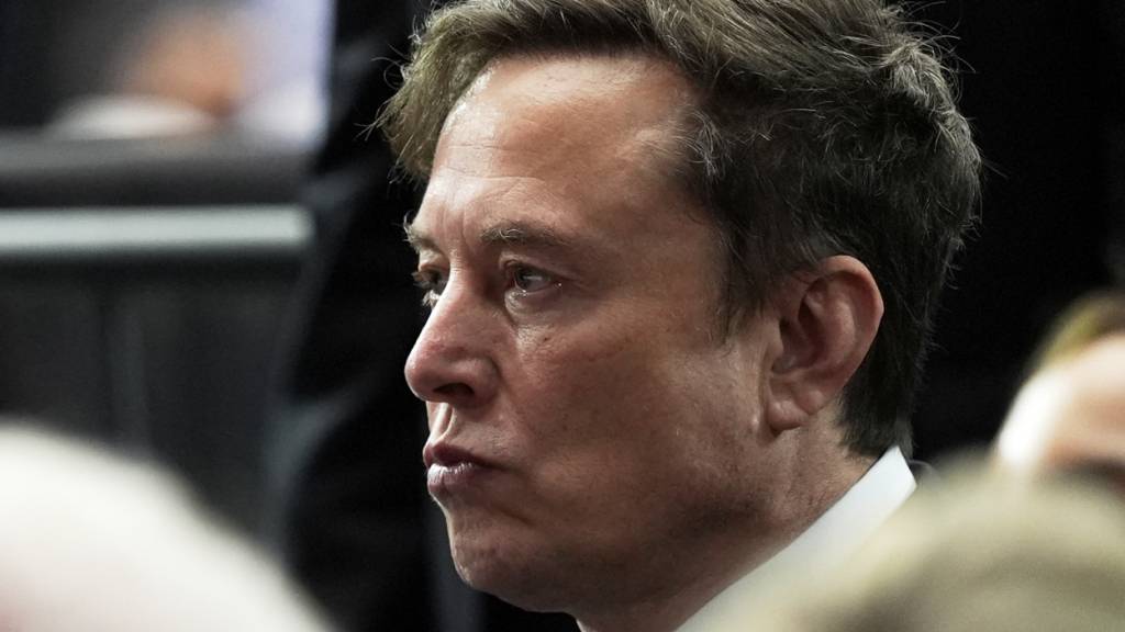 Ursprünglich hatte Tesla-Firmenchef Elon Musk ein günstigeres Fahrzeug in Aussicht gestellt. (Archivbild)