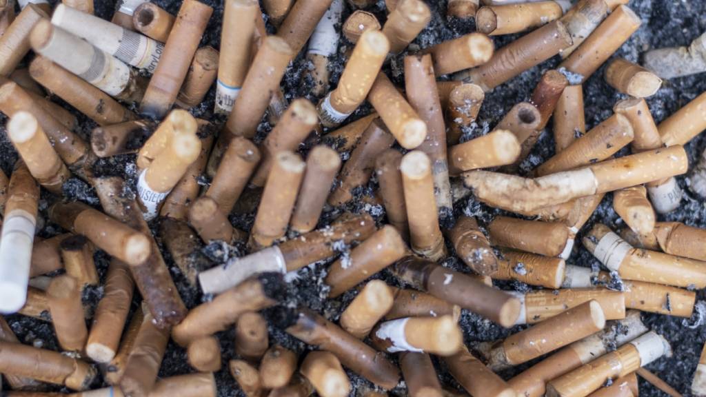 Bei Zürcher «Stadtputzete»  werden rund 200 Kilo Abfall gesammelt