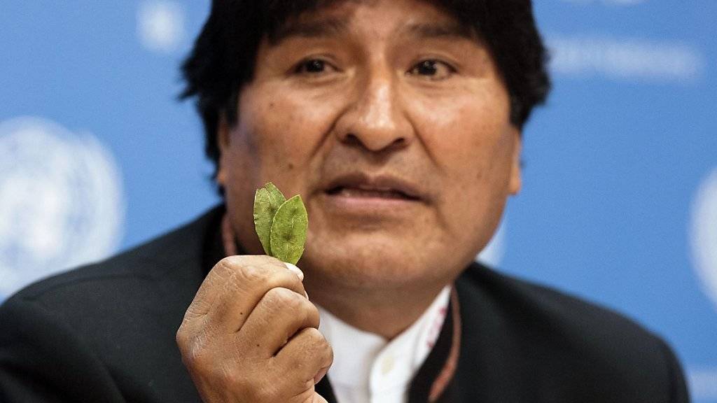 Boliviens Präsident Evo Morales tritt zum Vaterschaftstest an.