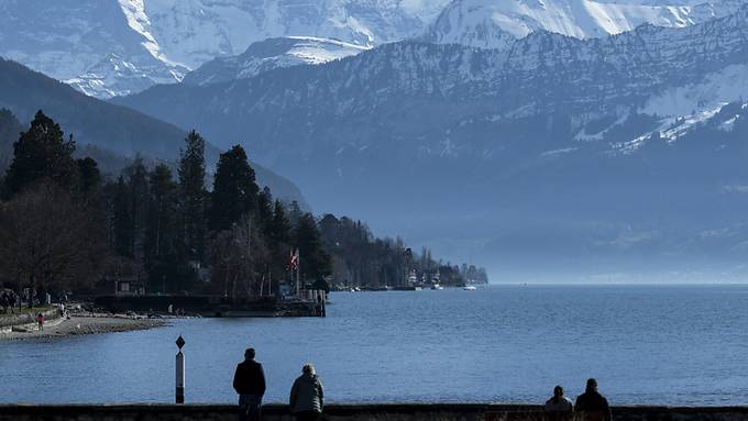 Erste Februarhälfte mit aprilhaften Temperaturen