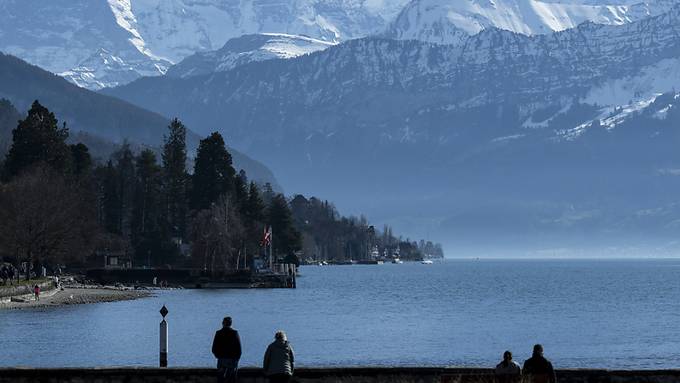 Erste Februarhälfte mit aprilhaften Temperaturen