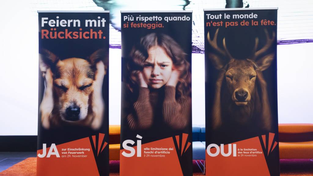 Komitee der Feuerwerksinitiative fordert mehr Rücksicht beim Feiern