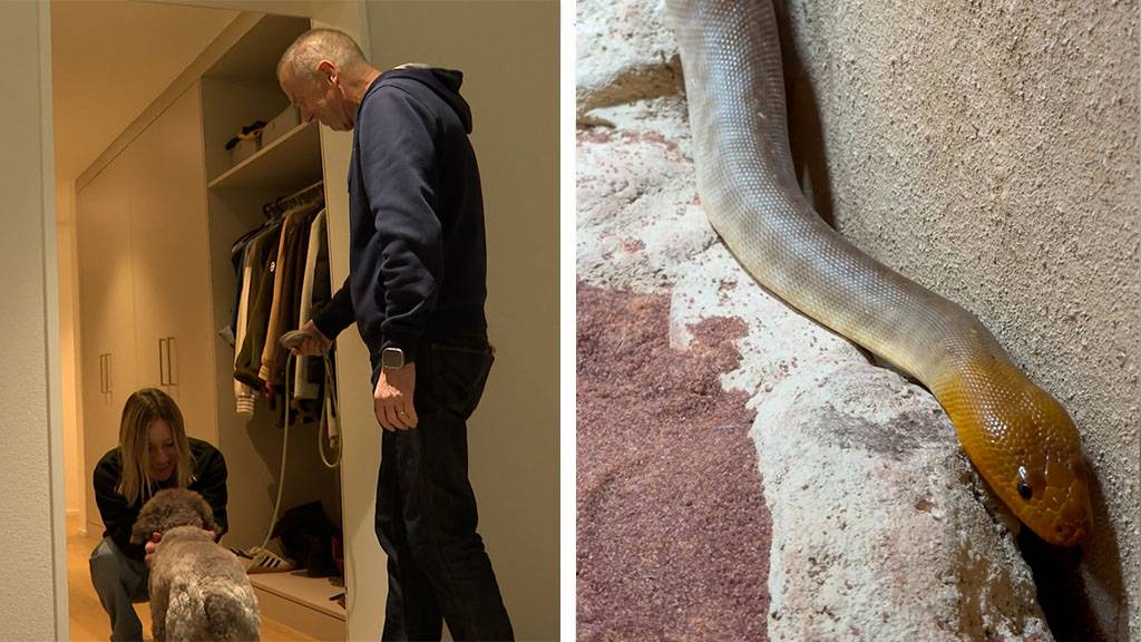 Hundesitting App «Liesl» / Neue Zoo-Bewohner