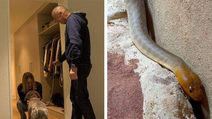 Hundesitting App «Liesl» / Neue Zoo-Bewohner