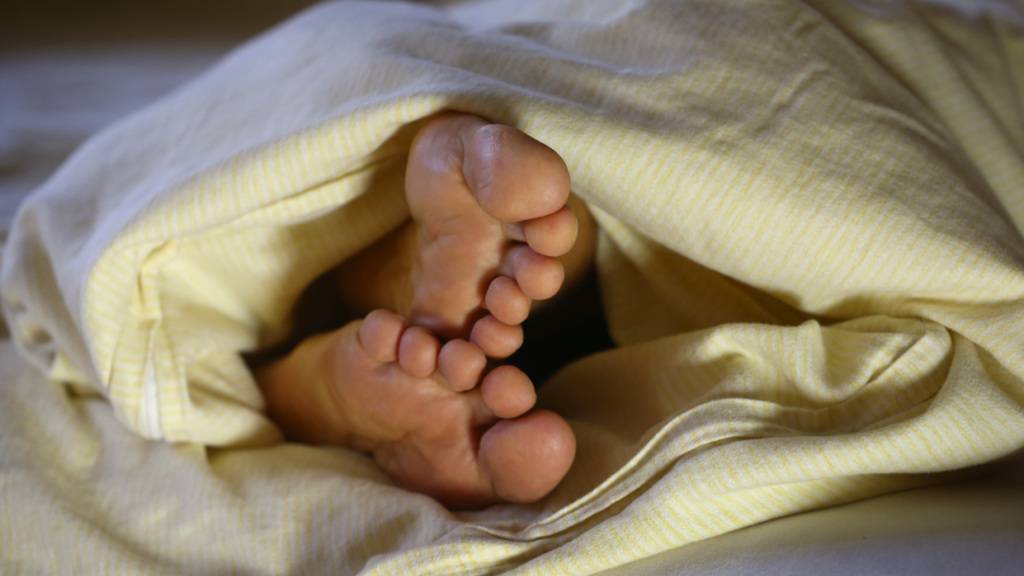 Bereits ein Nickerchen am Mittag macht das Gehirn lernfähig