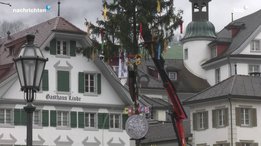 Frohsinngesellschaft Stans stellt eine Fasnachtstanne