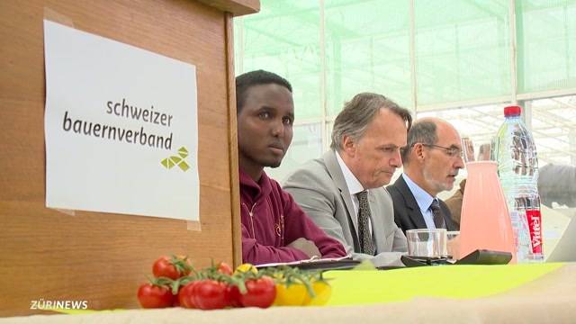 Flüchtlinge sollen Bauern unterstützen