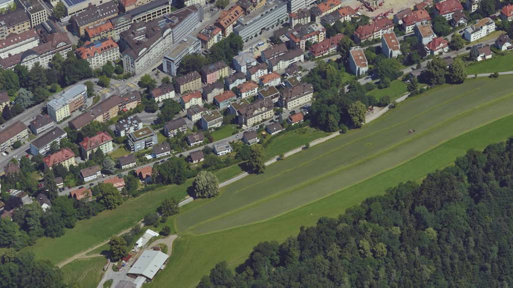 News: Hund tötet Reh, Brand in Lüchingen, Weniger Fische