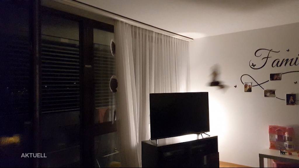 Fledermäuse kommen bei Aarauerin regelmässig zu Besuch ins Wohnzimmer