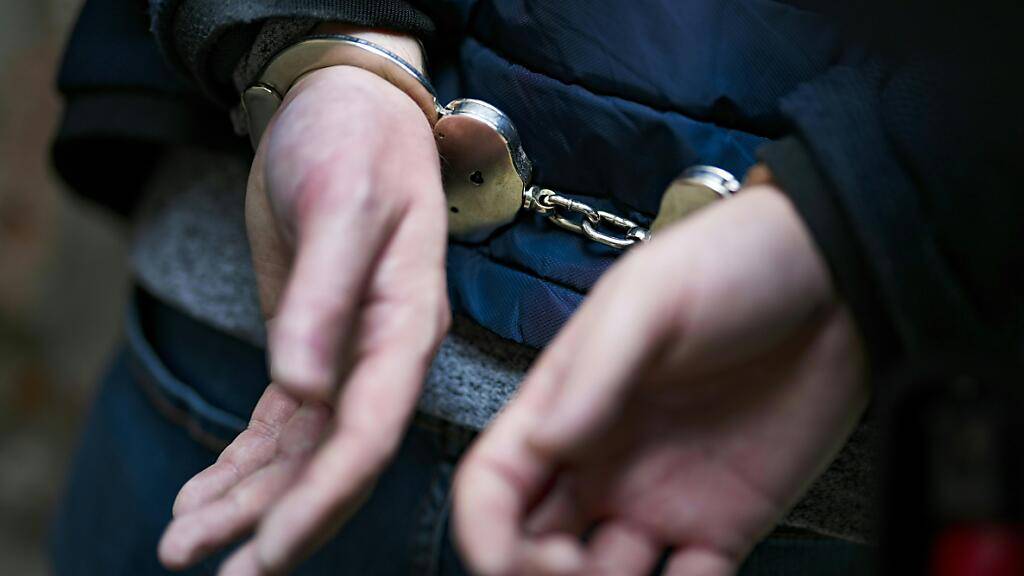 In Vitznau und Horw wurden insgesamt fünf Personen festgenommen. (Symbolbild)
