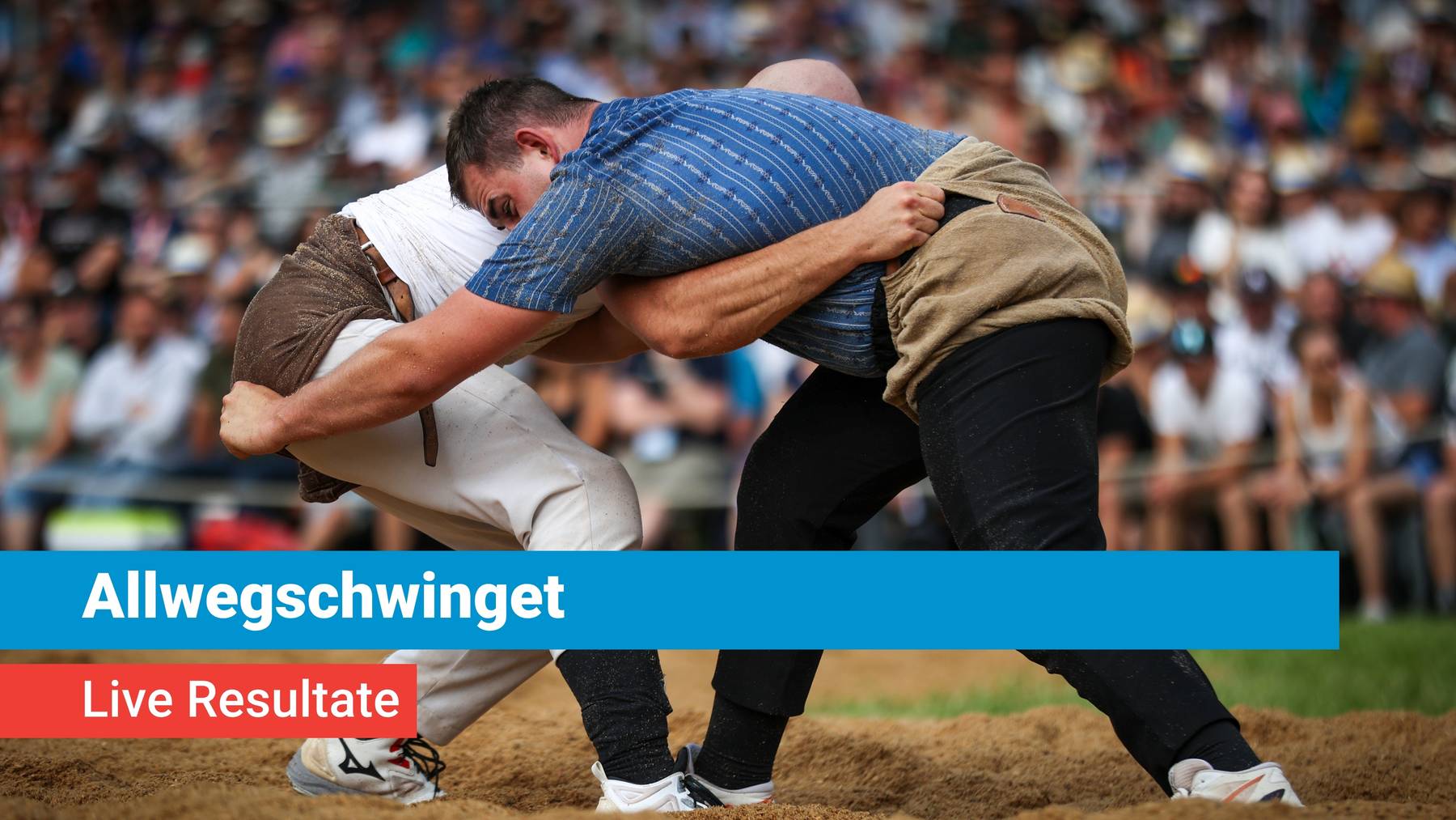 Allwegschwinget