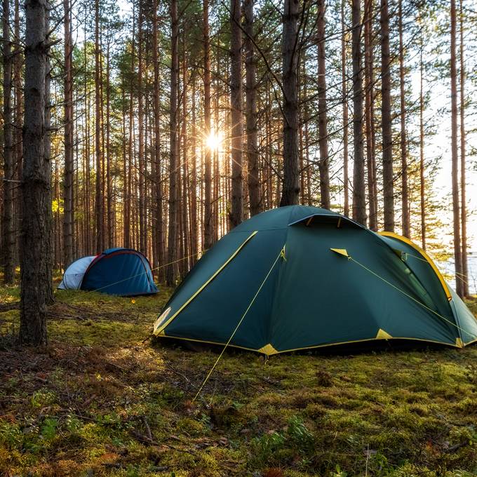 Was im Zürcher Wald erlaubt ist – und was nicht