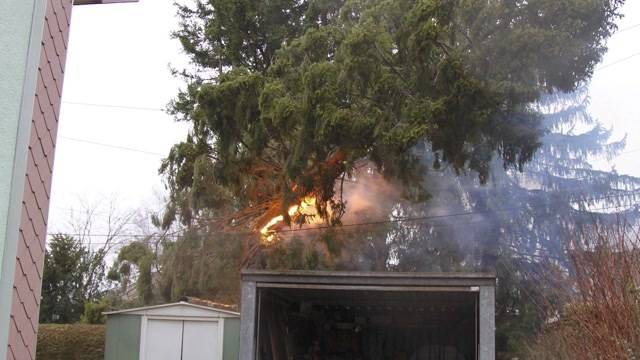 Brennender Baum unterbricht Bahnstrecke