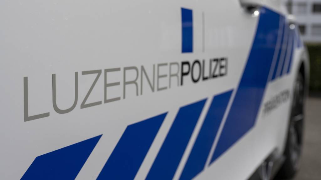 Die Luzerner Polizei hat in Malters LU vier mutmassliche jugendliche Sprayer ermittelt. (Symbolbild)