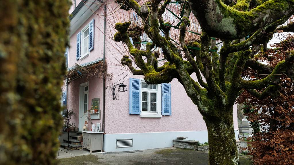Den Ahornbäumen im Restaurant «Industrie» in Solothurn geht es an den Kragen.
